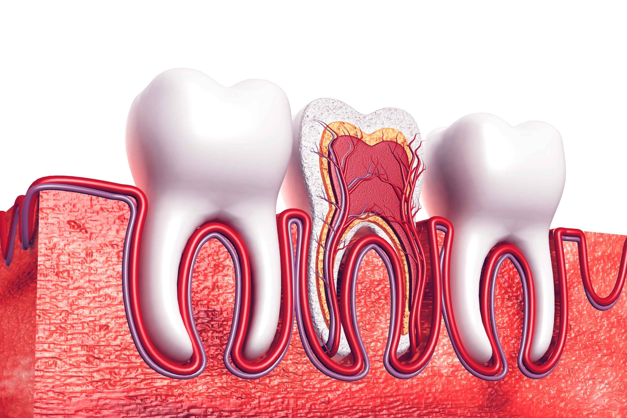 Endodontia